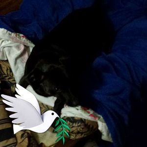 Meet your Posher, Norma